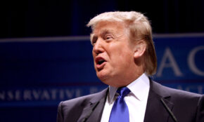 Donaldas Trumpas, Openverse nuotr.