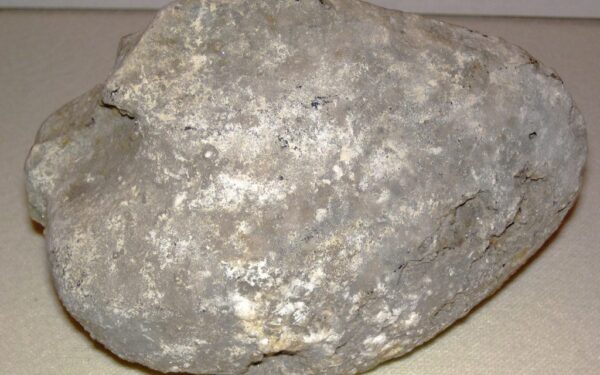 Skaldos rinka Baltijos šalyse įgauna pagreitį: „DSG Group“ imasi plėtros