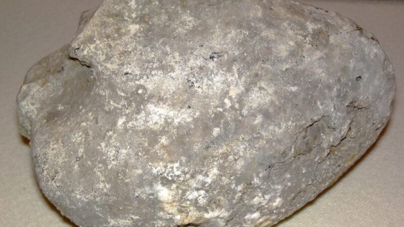 Skaldos rinka Baltijos šalyse įgauna pagreitį: „DSG Group“ imasi plėtros