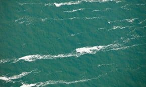 Vandenynas. Openverse nuotr.