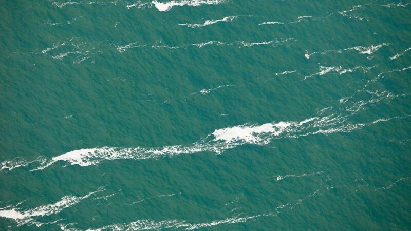 Iš krovininio laivo išsiliejusi nafta pasiekė turistų pamėgtas Tailando salas