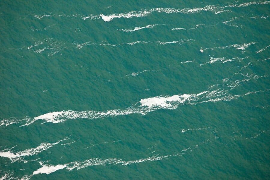 Vandenynas. Openverse nuotr.