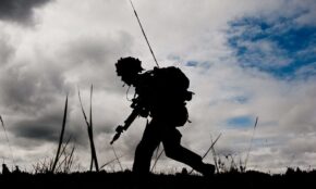 Karys. Openverse nuotr.