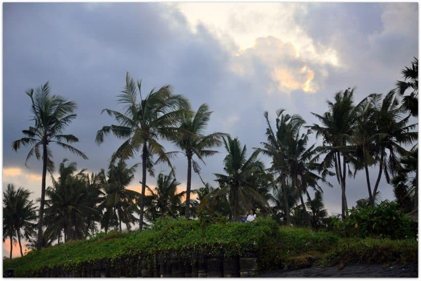 Balis. Openverse nuotr.