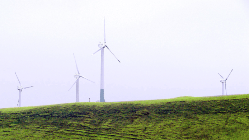 Japonijoje statomas naujas vėjo parkas, projekte ir „Tesla“ energijos kaupimo sistema