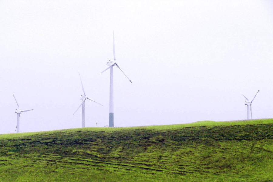 Vėjo elektrinių parkas. Openverse nuotr.