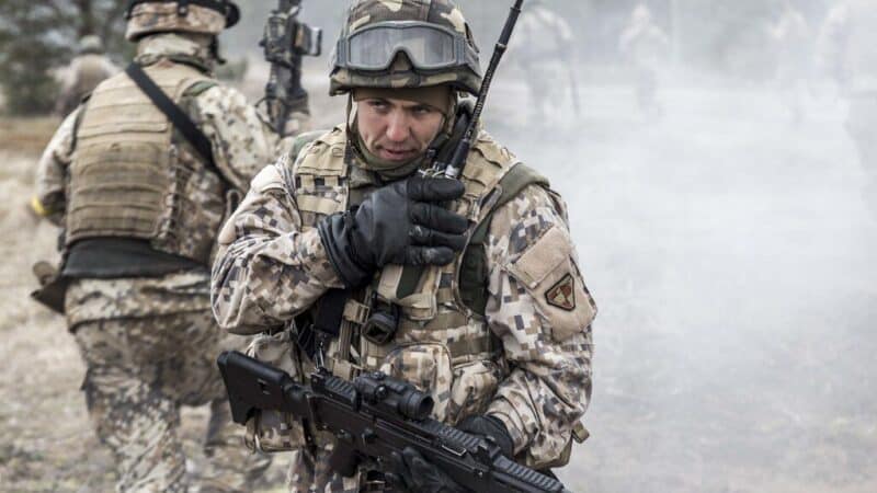 Po ilgų diskusijų Seime – sprendimas: Ukrainoje savanoriavę lietuviai sulauks lengvatos