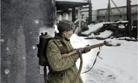 Žalias karys. Openverse nuotr.