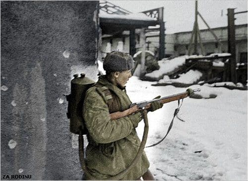 Žalias karys. Openverse nuotr.