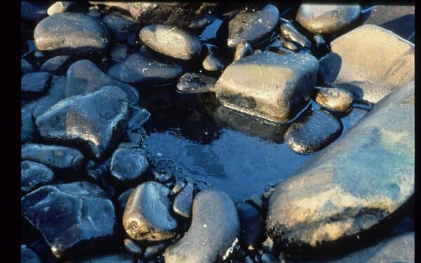 Sprogimas tanklaivyje Persijos įlankoje: vandenyje išsiliejo nafta, laivyba ima stoti