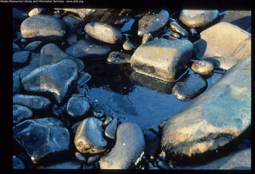 Nafta. Openverse nuotr.