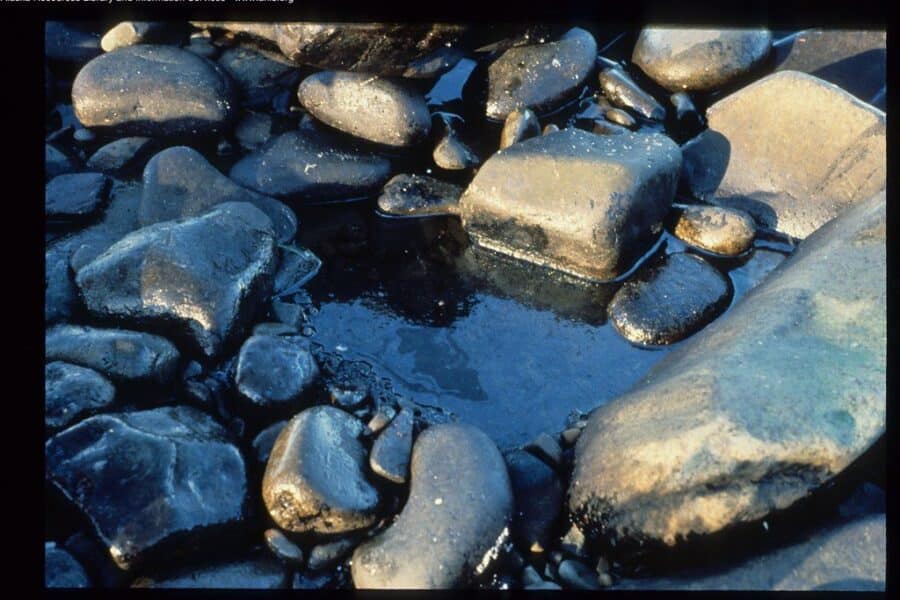 Nafta. Openverse nuotr.