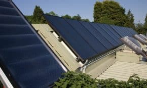 Saulės panelės. Openverse nuotr.