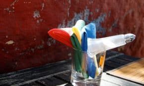 Gyvenimas. Openverse nuotr.