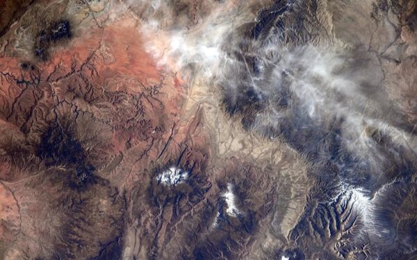 Milijardai rizikoje: naujas startuolis žada atskleisti tai, ko verslai nenori matyti