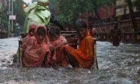 Potvynis. Openverse nuotr.