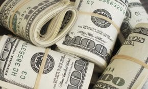 JAV doleriai. Openverse nuotr.