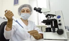 Pagalbinis apvaisinimas. Openverse nuotr.