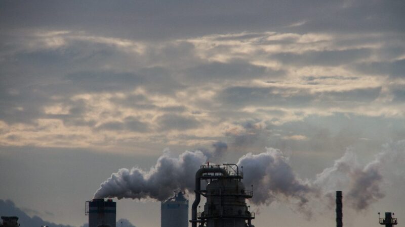 Naftos kainos krito: Trumpo pareiškimas pakeitė situaciją rinkoje