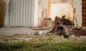 Veja. Openverse nuotr.