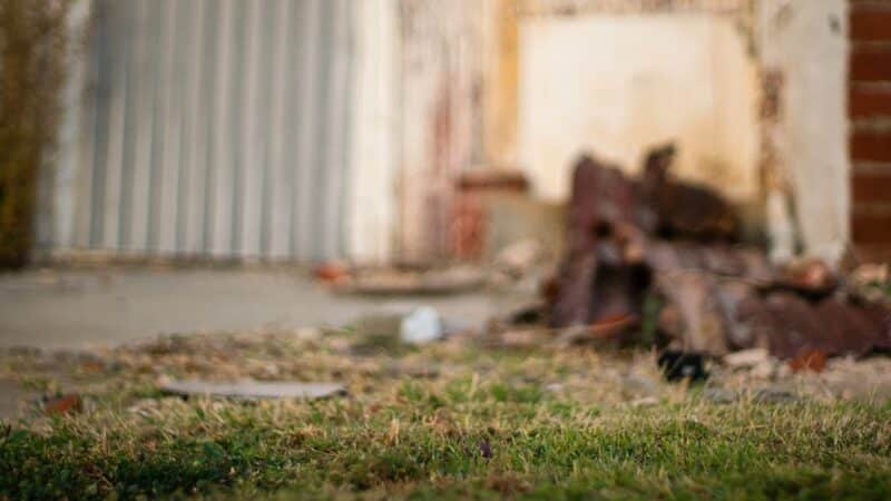 Jau ruošiatės tvarkyti veją po žiemos? Viena klaida gali ją dar labiau sugadinti