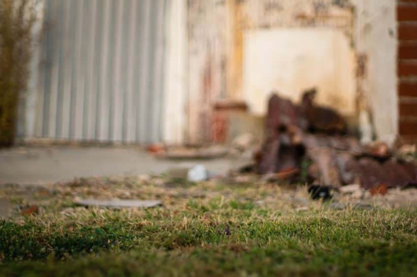 Veja. Openverse nuotr.