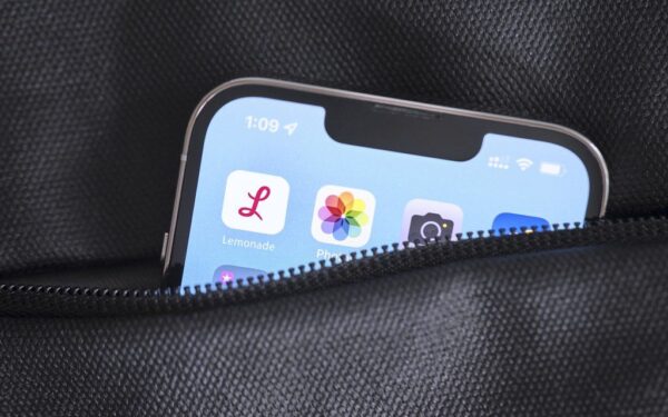 „Lemonade“ akcijos kyla, bet bendrovė vis dar nuostolinga, ar tokia rizika verta dėmesio?