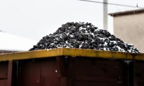 Anglis. Pexels nuotr.