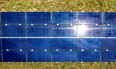 Saulės panelės. Pexels nuotr.