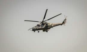 Sraigtasparnis. Pexels nuotr.