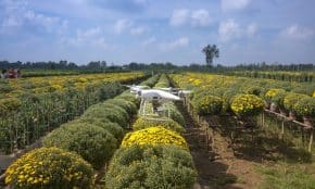 Ūkis. Pexels nuotr.