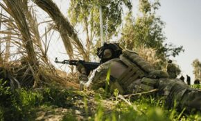 Australijos karys. Pexels nuotr.