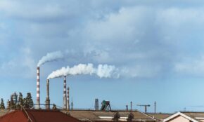 Tarša. Pexels nuotr.