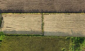 Žemė. Pexels nuotr.