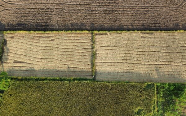 Keičiama gamtos išteklių apmokestinimo tvarka: kas laukia verslo ir mokesčių mokėtojų?