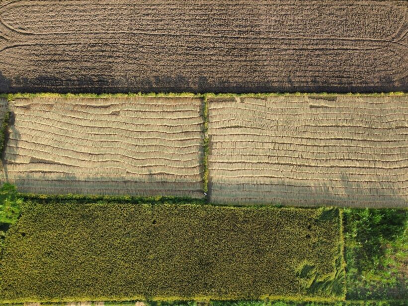 Žemė. Pexels nuotr.