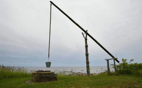 Kodėl dirvožemio būklė svarbi kiekvienam, kuris geria šulinio vandenį?