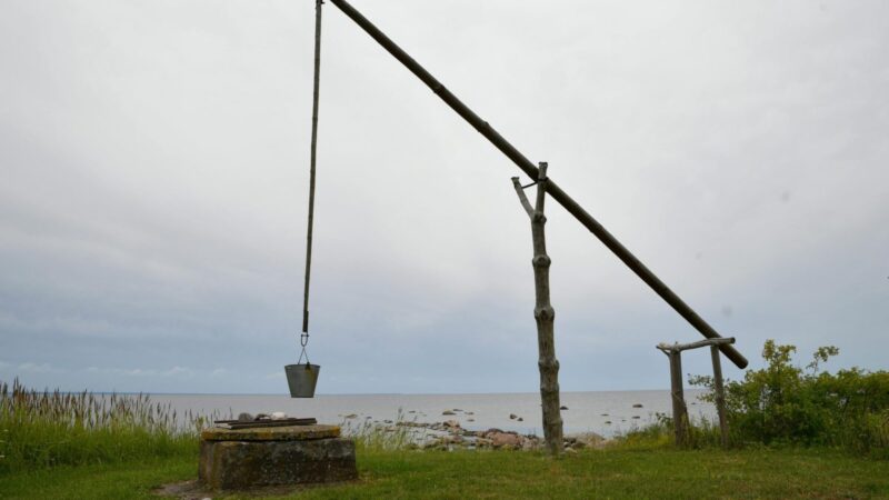 Kodėl dirvožemio būklė svarbi kiekvienam, kuris geria šulinio vandenį?