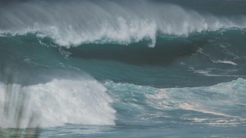 Japonų mokslininkas rado būdą iš vandenynų bangų išgauti daugiau elektros energijos