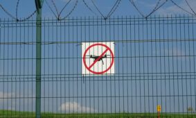 Neskraidymo zona. Pexels nuotr.