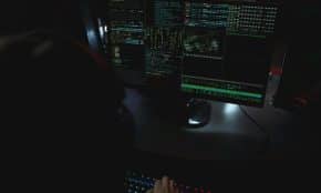 Programavimas. Pexels nuotr.