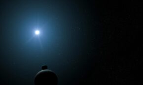 Palydovas. Pexels nuotr.