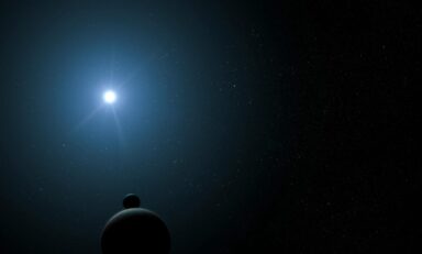 Palydovas. Pexels nuotr.