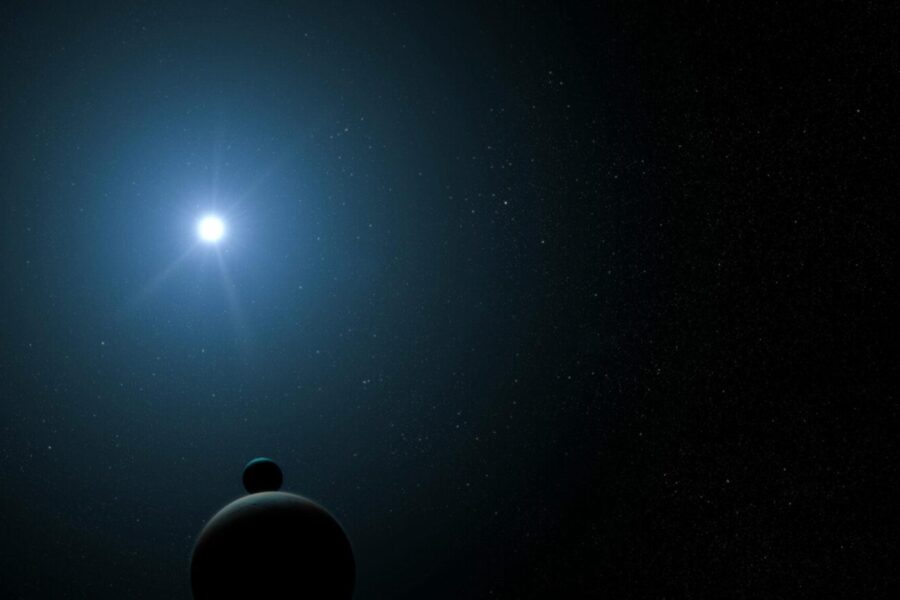 Palydovas. Pexels nuotr.