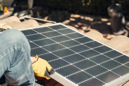 Saulės panelės. Pexels nuotr.