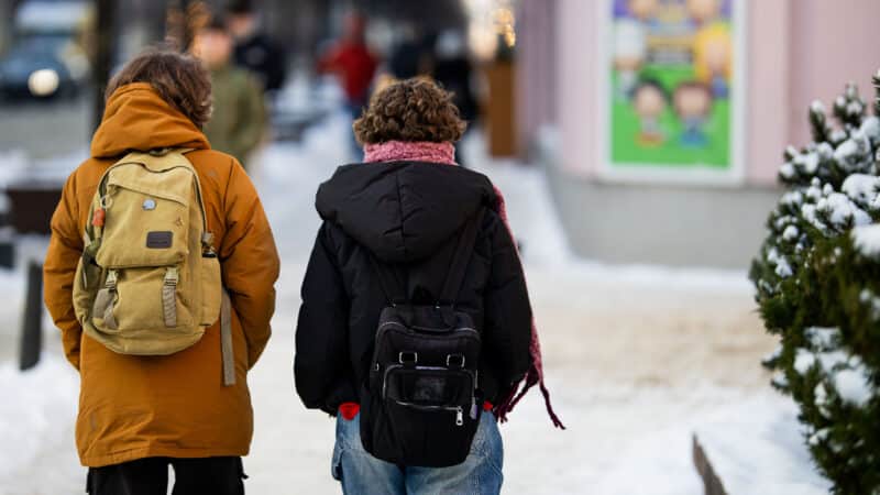 Seime įregistruotos įstatymo pataisos: siūloma jaunimo amžių pradėti skaičiuoti nuo 11 metų