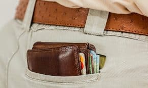 Pilna piniginė. Pixabay nuotr.