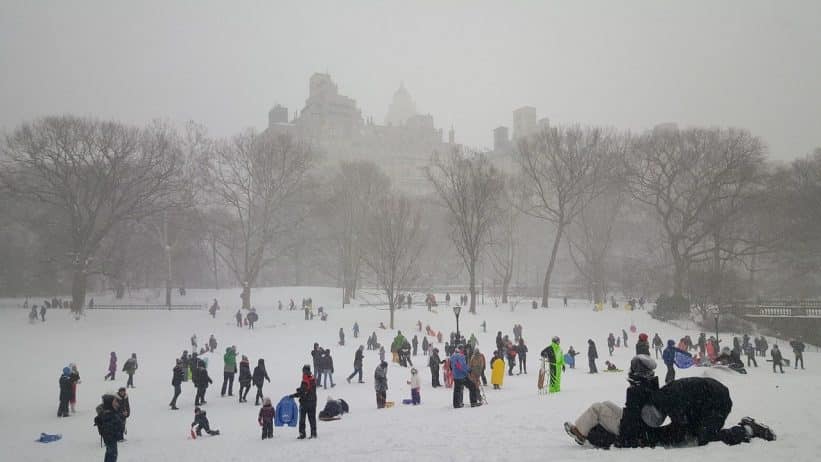 snow, central park, nature, new york, new, cold, tree, york, central park new york, cityscape, landscape, frozen, winter, manhattan, sledding, gray news, gray park, gray new