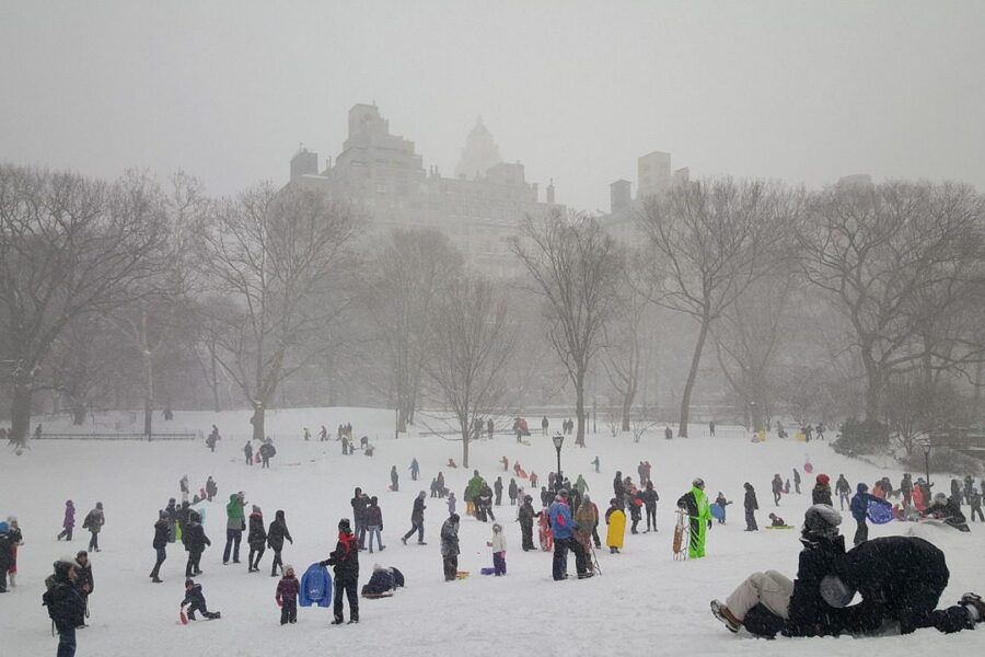 snow, central park, nature, new york, new, cold, tree, york, central park new york, cityscape, landscape, frozen, winter, manhattan, sledding, gray news, gray park, gray new