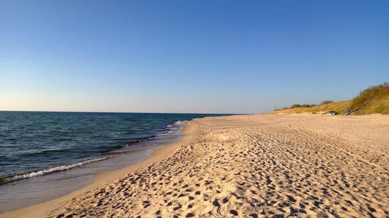 Staigus atšilimas sukėlė grėsmę: Olandų kepurės lankytojams patariama laikytis atstumo